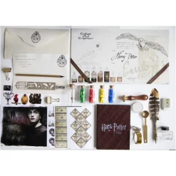 D'arpèje Juegos Educativos*Cofre De Curiosidades Harry Potter Wizarding World