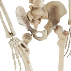 El Corte Inglés Disfraces Y Complementos*Esqueleto Articulado De Halloweenel Corte Ingles