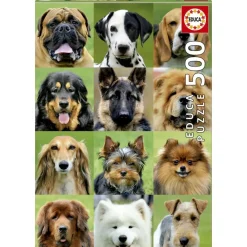 Educa Borrás Puzzles Y Construcciones*Puzzle 500 Piezas