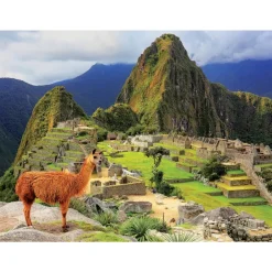 Educa Borrás Puzzles Y Construcciones*Puzzles 1000 Piezas Surtidos