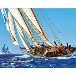 Educa Borrás Puzzles Y Construcciones*Puzzles 1000 Piezas Surtidos