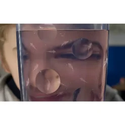 Bizak Juegos Educativos*Sea Monkeys Ocean Zoo