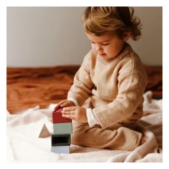 Jellystone Preescolar*Triblox Bloques Triangulares Tierra